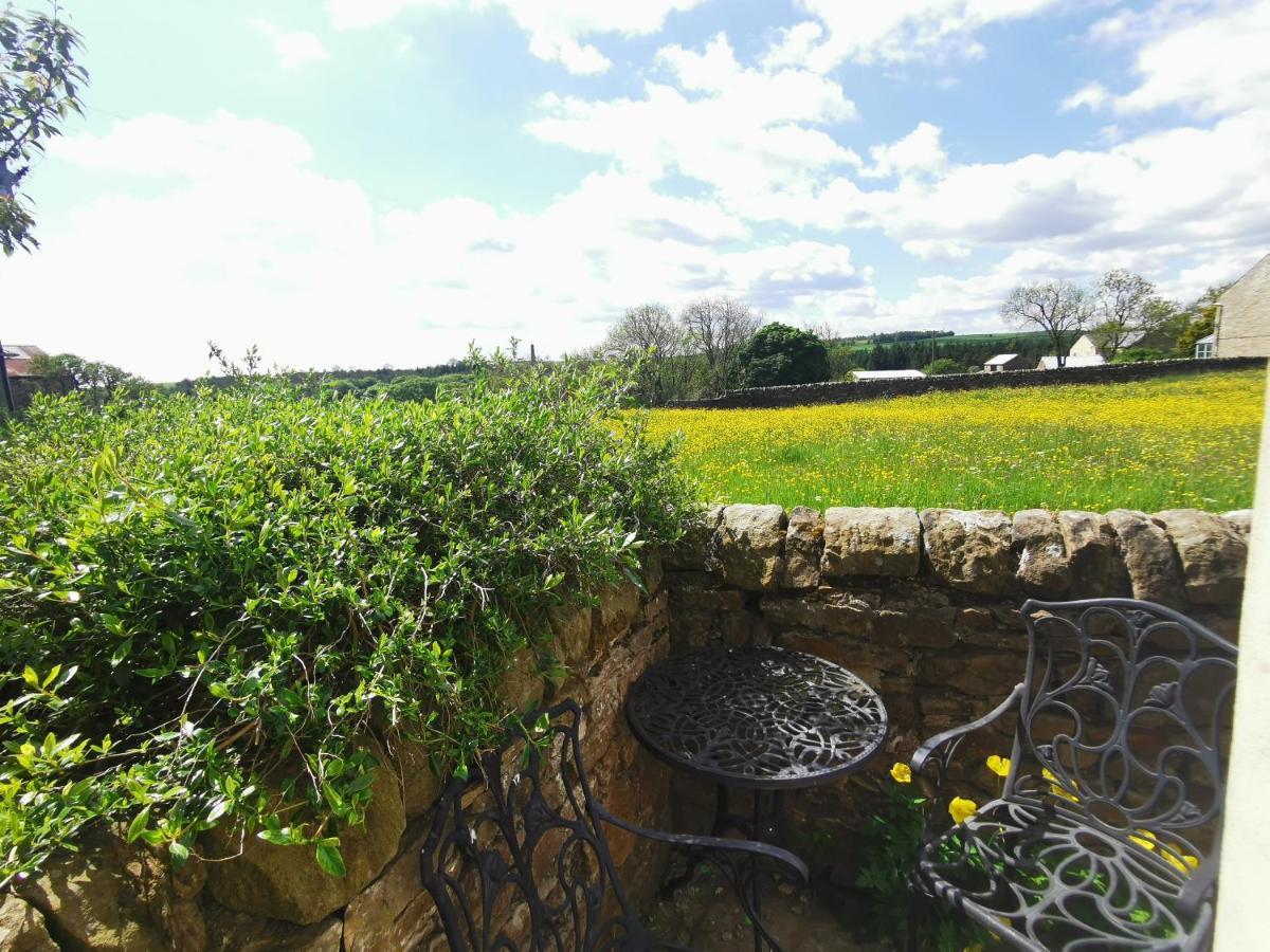 Copley Cottage מראה חיצוני תמונה